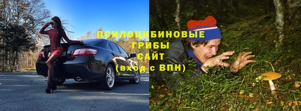 твердый Богданович